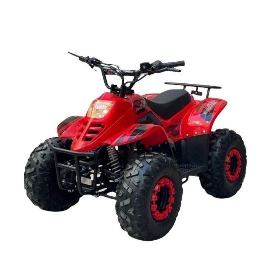 صورة دباب بنزين قوي 110cc